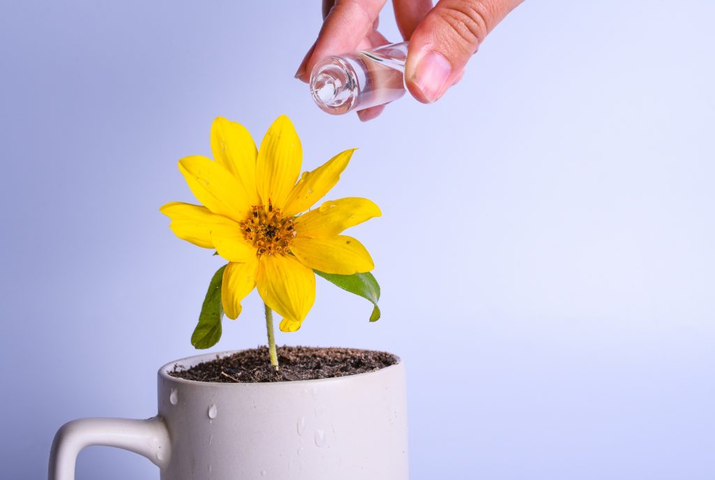 روش صحیح و اصول ابیاری گیاهان