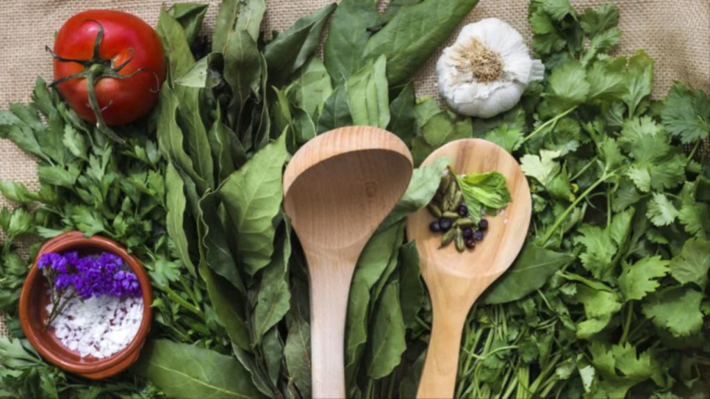 انواع گیاهان خوراکی و کاربردهای آن‌ها 