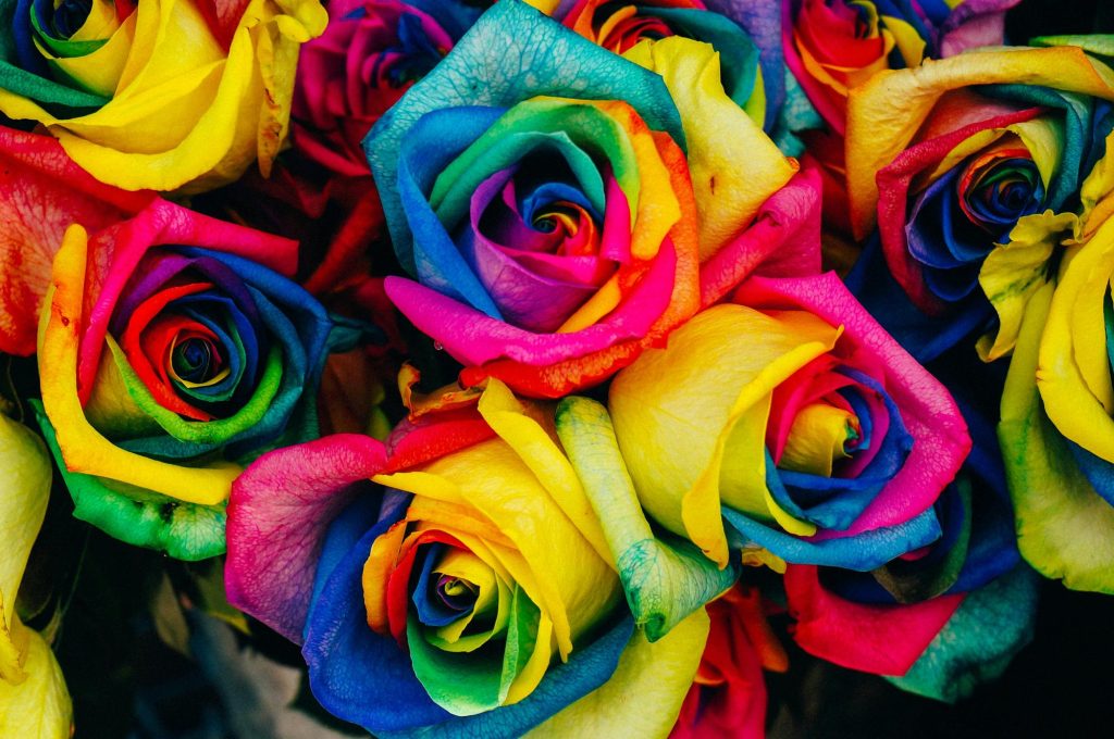 معرفی و اشنایی با گل های رنگی