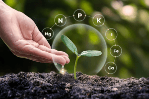 راهکارهایی برای انتخاب بهترین نوع کود