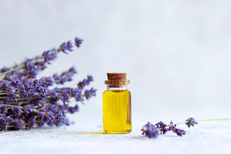 اسطوخودوس: گیاهی معطر با خواص شگفت‌انگیز و روش‌های نگهداری اصولی